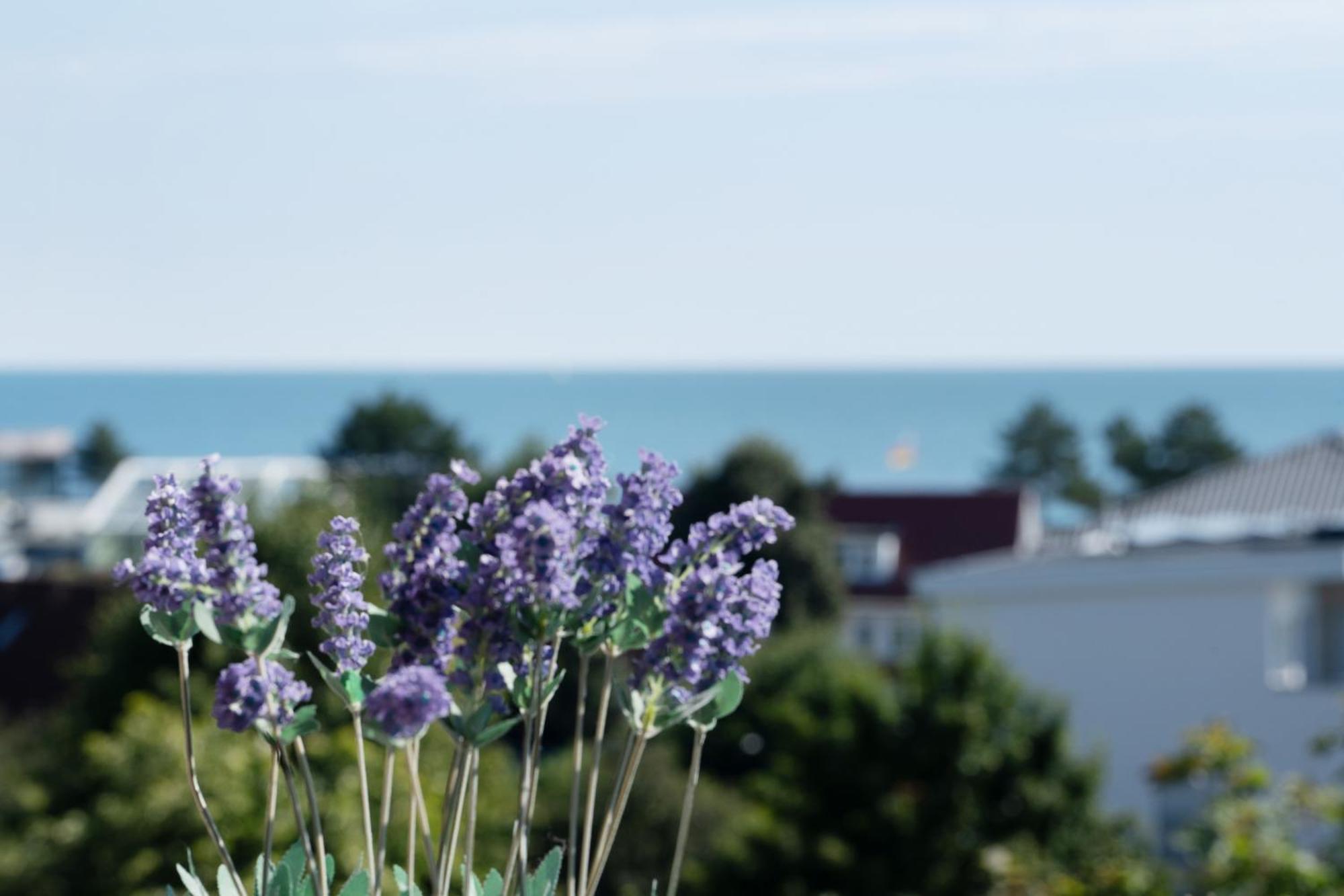 Berolina Seeblick Apartment Dahme (Schleswig-Holstein)